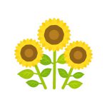 free-illustration-summer-3sunflower